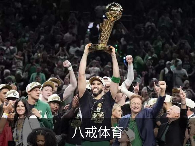 企业介绍